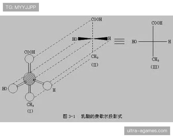 深入解读篮球裁判判罚流程的规则定义与具体执行标准